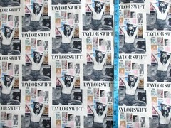 Taylor Swift Eras Tour Posters on 100% Cotton Fabric by the 1/4 Yard : 9″ x 57″