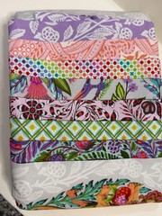 1/2 Yard Bundle of Tula Pink Free Spirit Roar fabrics (retired) 8 half yards
