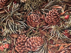 1/2 Yd Pine Cones Branches Needles Green Brown Cotton Fabric Japan Hobby Lobby