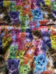 Multicolor Cat Theme Animal Print Fabric Panel with White Trim. Childs size M.