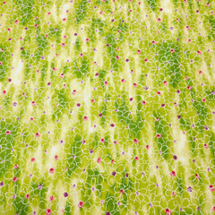 Ariel BTY Studio 8 Quilting Treasures Pink White Watercolor Floral on Greem