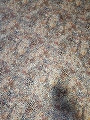 Transfertex Fashion Design Leopard Animal Print Stretch Velour Fabric 1y x 56″