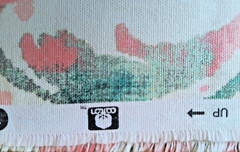 Richloom Cotton Scroll Print Fabric 61″ long, 45″ wide Cream Teal Coral
