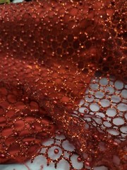 Fabric Sold By The Yard Burgundy Beaded Lace Glitter Sparkle Pearls On Mesh Prom
