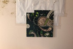 Clarke & Clarke Wonder World Velvet Mythical Ceatures Various Colors and Sizes