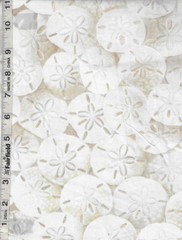 Beach Day Sand Dollars by Timeless Treasures bty