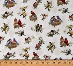 Cotton Beautiful Birds Bird Nesting Nests Cream Fabric Print by the Yard D375.66