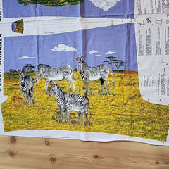Princess Fabrics Boxer Bonanza Safari Fabric Panel,,Zebras, Lions