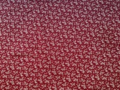 Fabric Simple White Flower Red 44″ X 60” 854