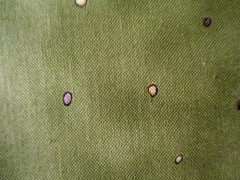 2-7/8 YDS “ALMOND POPPY” OLIVE BACKGROUND W TINY CIRCLES 100% COTTON RJR OOP