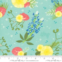 Moda Quilt Fabric Desert Song Oasis by half-yard #13300 21 color aqua