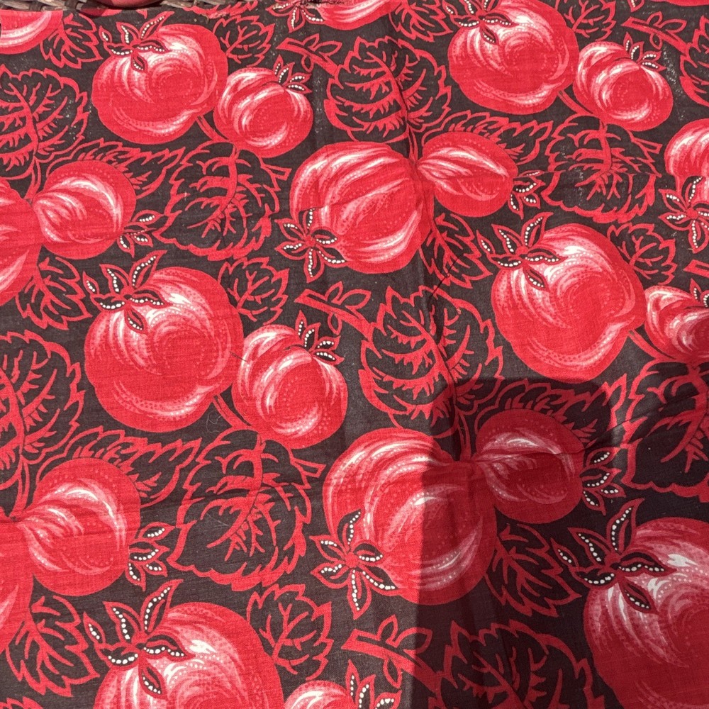 antique vintage 1875 red calico cloth rare collectible Civil War red 17 x 24 ￼