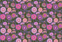 1/2 Yard Fabric – Jumpstart | Zinna Show – Mauve by Anna Maria Textiles