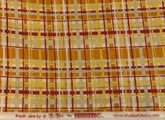 OOP “Fresh Aire” By BJ Lantz For Studio E Fabrics Orange Yellow White Plaid BTY