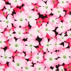 10 Yards NEW Pink Dogwood Floral 100% Cotton TIMELESS TREASURES FABRIC
