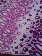 Fun Purple & Lavender Knit Fabric Cheetah type print 58″ wide 2 ½ yards