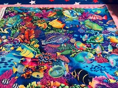 Fabric Fish Coral Canyon Ocean on Aqua Cotton KAUFMAN 1/4 Yd AQCD-199 0350