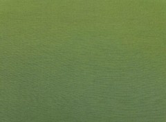 RICHLOOM VERANDA HUNTER GREEN SOLID OUTDOOR INDOOR MULTIUSE FABRIC BY YARD 54″W