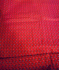 VTG Tiny Ditzy CALICO RED w/ Pink & Blue Daisy Florals Cottagecore 22″x15″