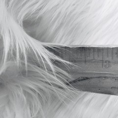 Eden WHITE Shaggy Long Pile Soft Faux Fur Fabric for Fursuit, Cosplay Costume,