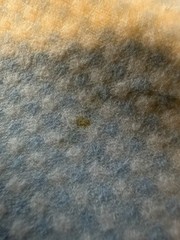 Fabric Light Blue Checkered 45”x42” 1 Small Spot See Photo