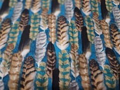 New Cotton Fabric Feathers Southwestern David Textiles BYD
