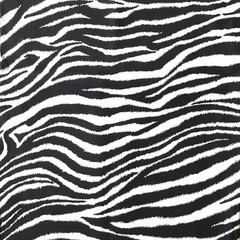 ZEBRA Animal Print Pattern – Cotton Quilting & Crafting Fabric Textile 38×45 NEW