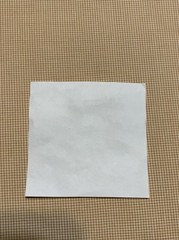 Gingham Microcheck Cotton Fabric Caramel Tan And White From Fabric Finders BTY