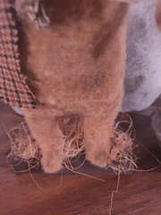 Grungy Primitive Field Mouse for fall scarf with fall prim tag.