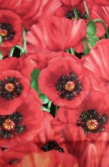 Blank Textiles Fabric BTR-3858 Red Poppies Poppy 1/2yd 44″w Cotton Realistic