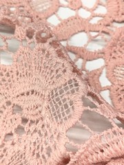 Floral Lace Fabric Special Occasion Pink Corded Border By the Yard