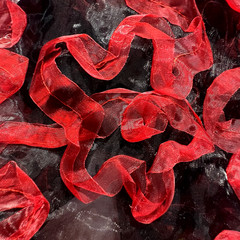 Black Sheer Nylon With Red 3 D Floral Design 60″ W Fabric Lot of 2 Yards for $15