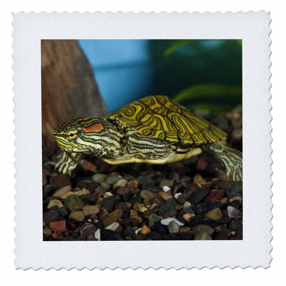 3dRose Ornate Red-Ear Slider Turtle Quilt Square – 6×6 Inch Art Tile