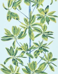 Thibaut Curtain Fabric ‘MANGROVE TREE’ 3.8 METRES TURQOISE Linen Blend