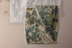 Mulberry Home Glendale Fanfical Birds and Butterflies Various Colors and Sizes
