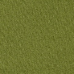 Ainsley LIGHT OLIVE Polyester Poplin Fabric by the Yard