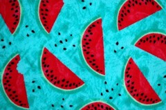 BTY*HOLIDAY RED WATERMELON BLACK SEEDS TURQUOISE PLUSH FLEECE FABRIC 60×36″ 1YD