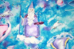 60 INCH WIDE WIZARDS ON PARADE FROM TIMELESS TREASURES – 100% COTTON FABRIC