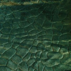 Fabric Material Faux Fur Micro STEPPING STONE – BOTTLE GREEN
