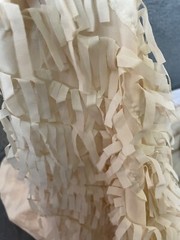 Fabric Lot 2 Yds 56 W Apparel Laser Cut Beige Vanilla Fringe Sheer Organza