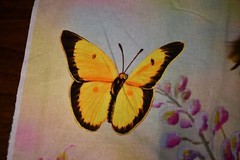 The Hummingbird Panel David Textiles Cotton Size 35.5 W
