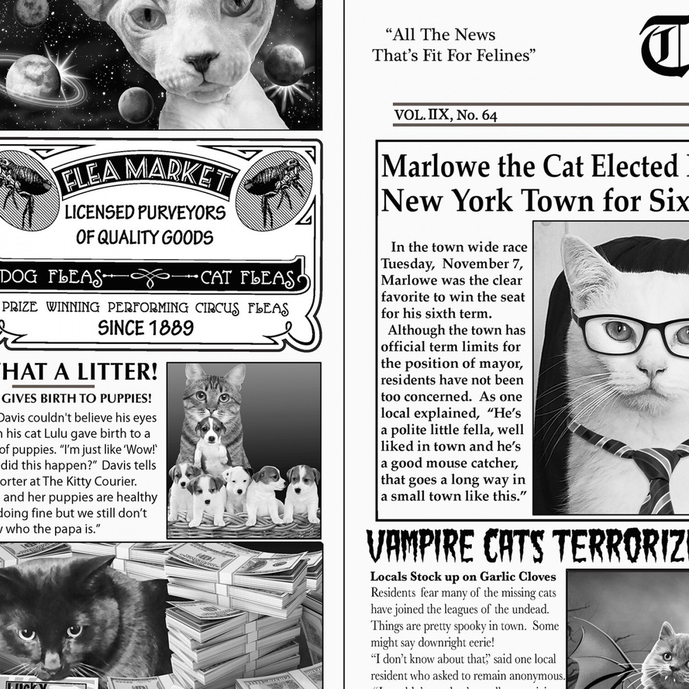 Feline Drive Fabric THE KITTY COURIER Cat Newspaper Sold by the Yard