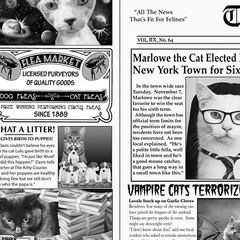 Feline Drive Fabric THE KITTY COURIER Cat Newspaper Fat Quarter (18″x 22″) FQ