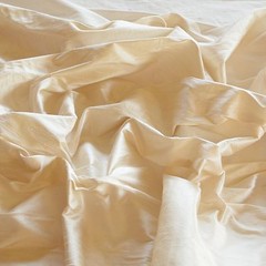 Champagne Dupioni Silk, 100% Silk, 44″ or 54″ wide, By The Yard (S-103)