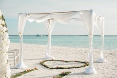 58 Inch Solid Color Chiffon Fabric Rustic Sheer Wedding Backdrop Ivory 10 Yd