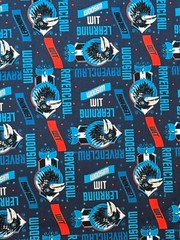 Warner Brothers Camelot Harry Potter Fabric 18” x 42” Vintage Rare New Blue