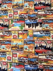 USA Route 66 States Travel Scenes Fabric Lifes A Kick Cotton (5 Cut Pieces)