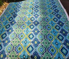 An Original Screen Print Design by Solarium Fabric A Division of Richloom 2 yds