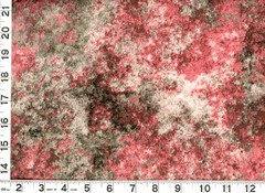 Red, Black & Gray Earth Jewels Blender Quilting Sewing Fabric by Yard #2300