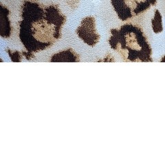 Chiffon Fabric, Animal Print(3 Styles) – By the Yard